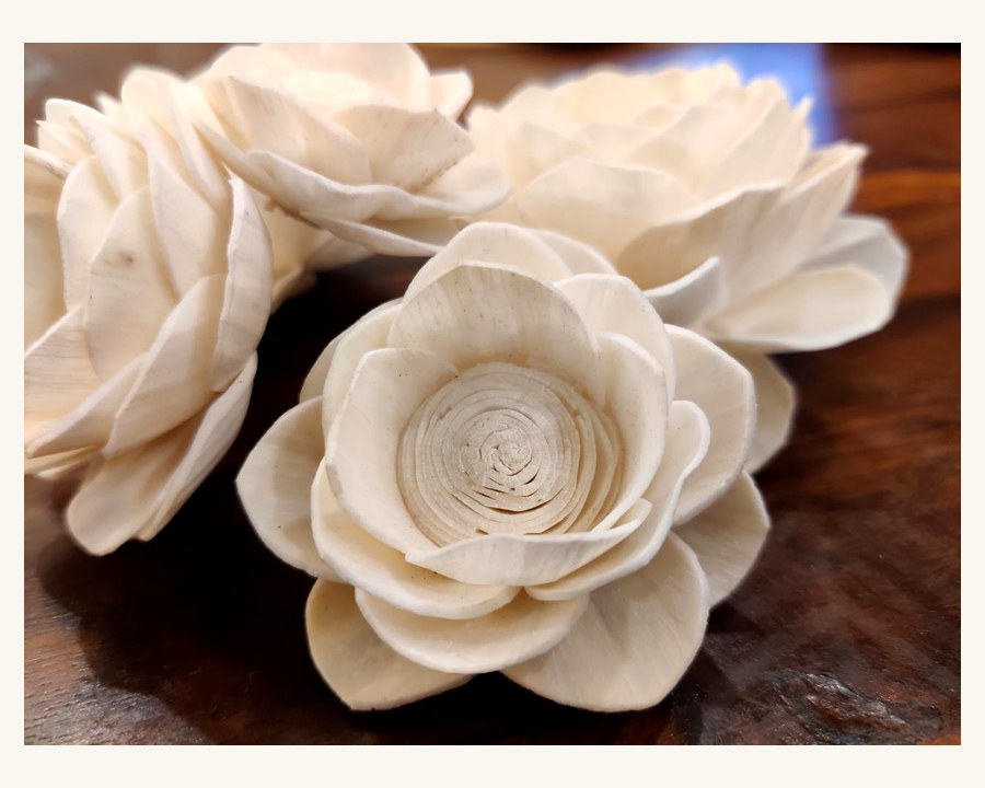 Sola wood flower
