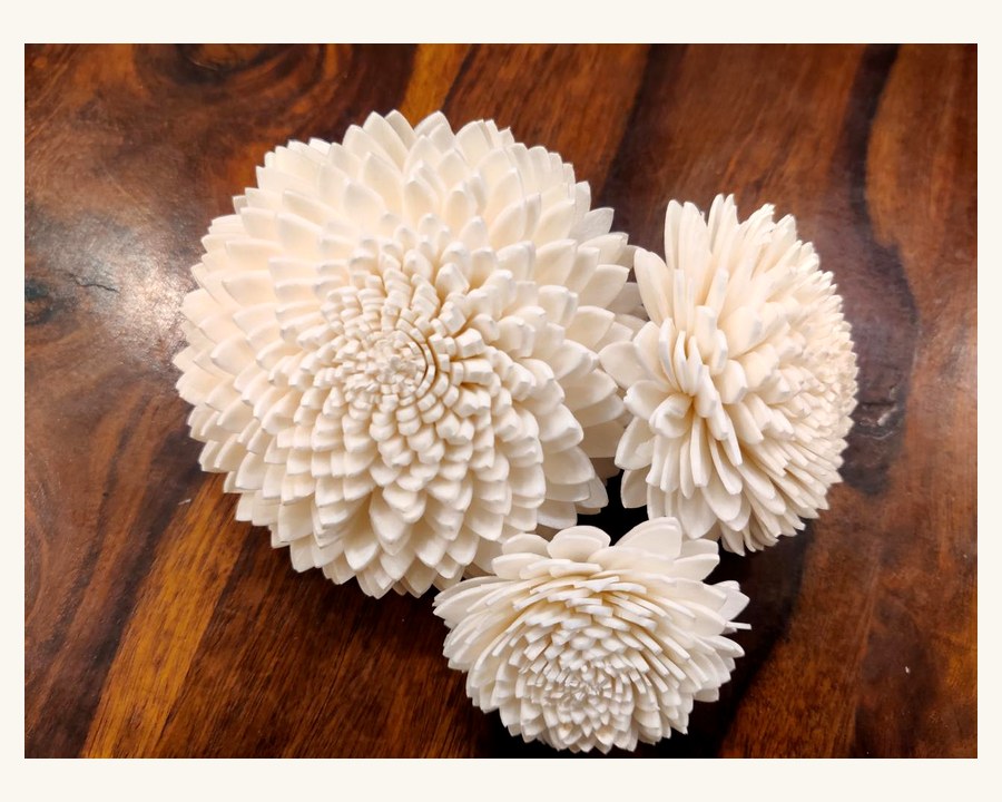Sola wood flower
