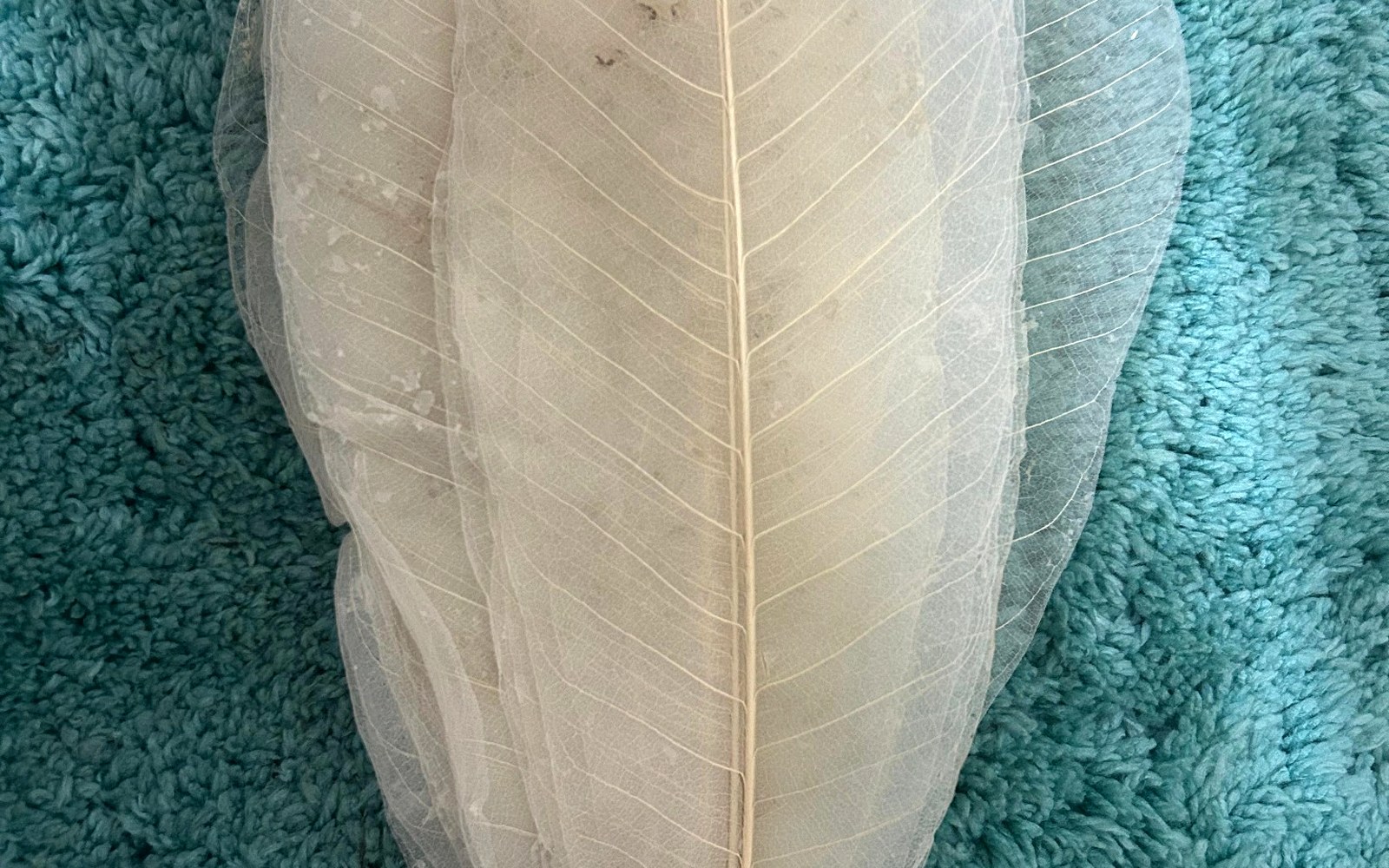 Natural decorative items