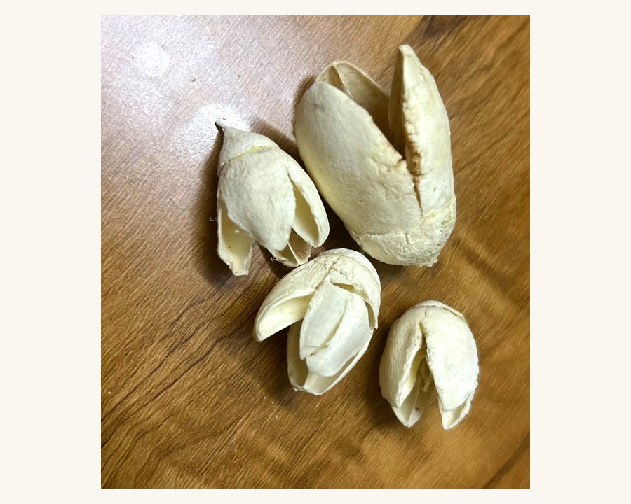 Natural Pods