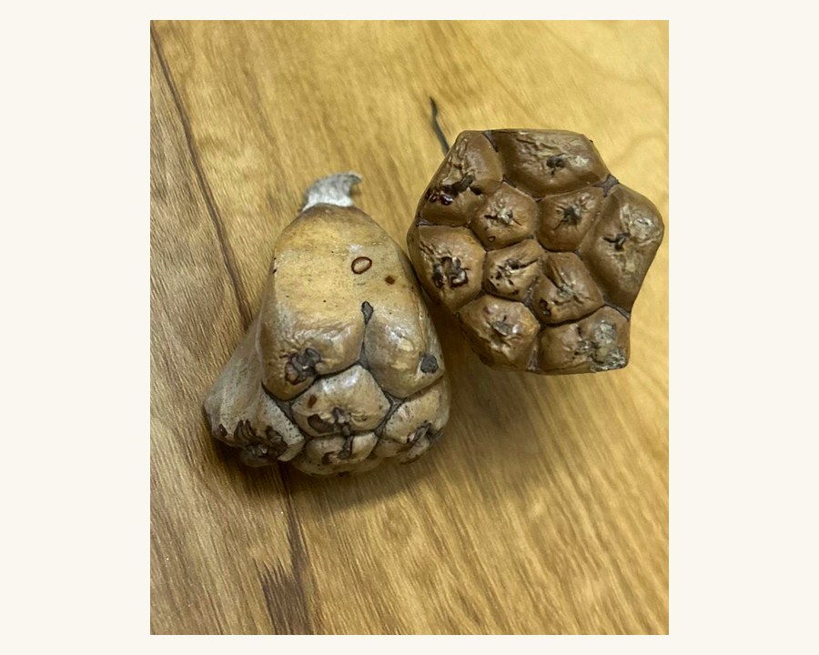 Decorative Pods
